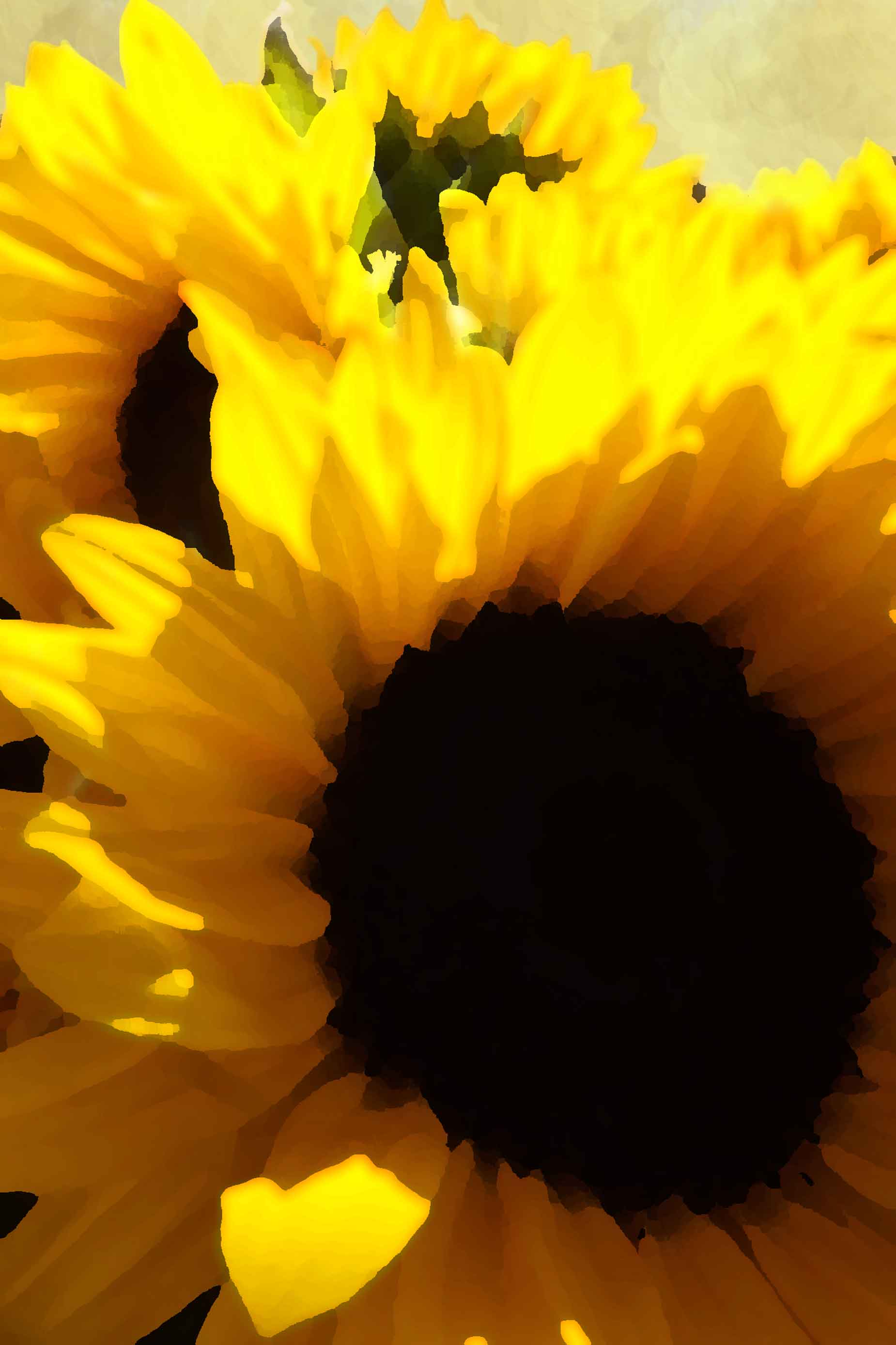Sunflower Sunflower watercolor